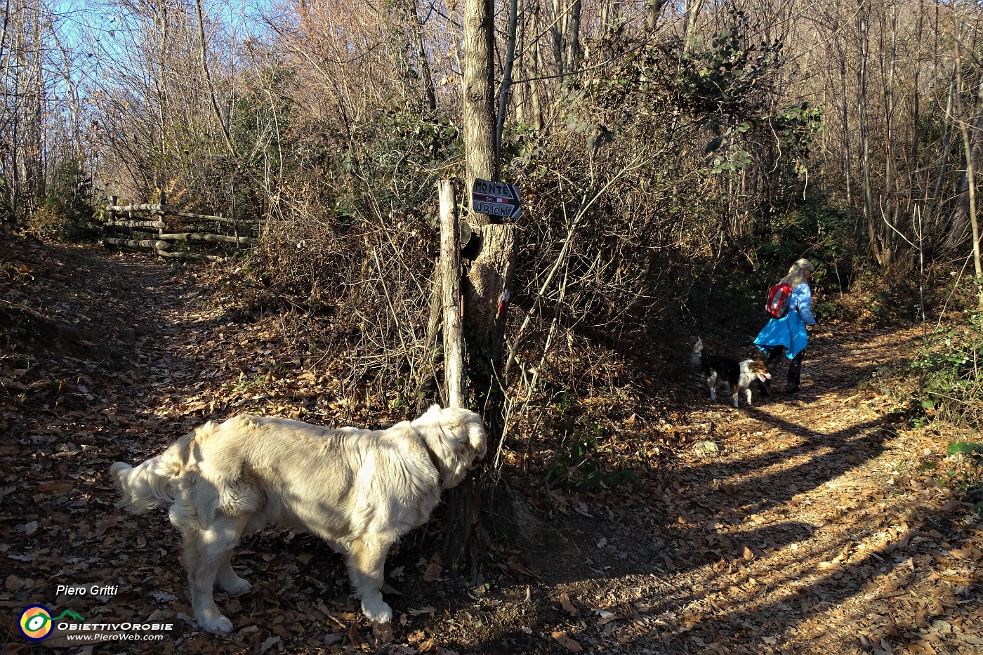 46 Il cagnolone Ragu ci segue ancora.JPG